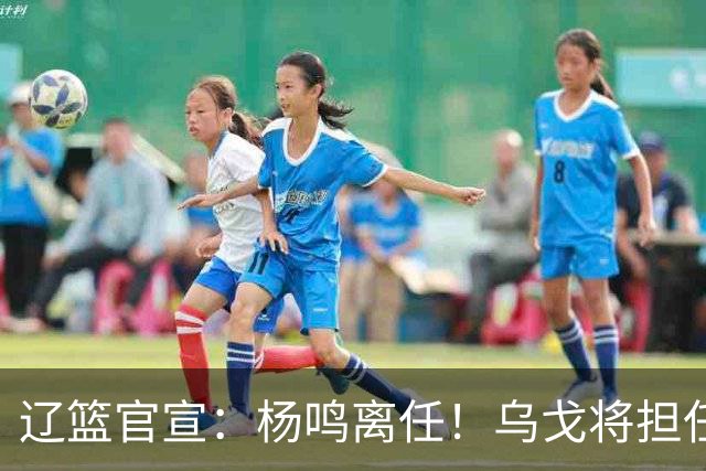 辽篮官宣：杨鸣离任！乌戈将担任辽宁男篮主帅